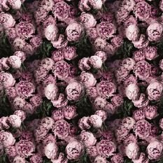 Vespertina Blossom Fabric by Designers Guild 