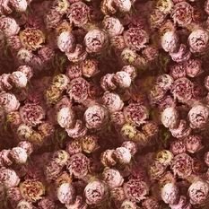 Vespertina Sepia Fabric by Designers Guild 