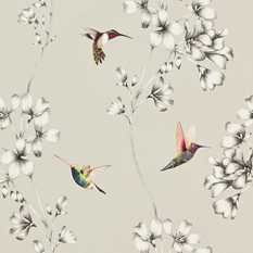 Amazilia Silver Wallcovering by Harlequin