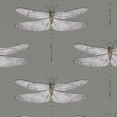 Demoiselle Graphite/Almond Wallcovering by Harlequin