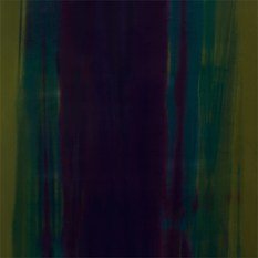 Amazilia Velvet Fabric by Harlequin 