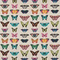 Papilio Fabric by Harlequin 