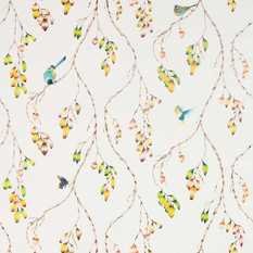 Iyanu Voile Paprika/Kiwi Fabric by Harlequin