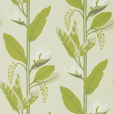 Llenya Lime/Jade/Pebble Wallcovering by Harlequin