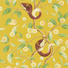 Nellie Honey/Meadow Wallcovering by Harlequin