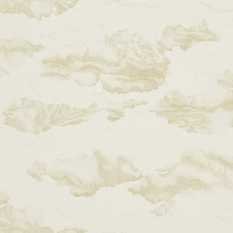Nuvola Gold/Shell Wallcovering by Harlequin