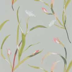 Saona Coral/Silver Wallcovering by Harlequin