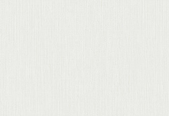 HookedOnWalls Meru Wallcovering