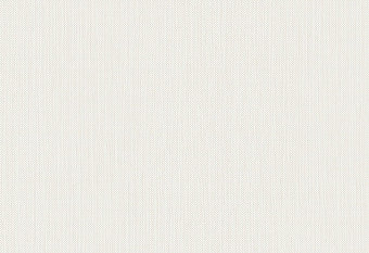 HookedOnWalls Meru Wallcovering