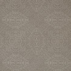Kaleidoscope Hazelnut Fabric by James Hare 