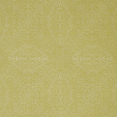 Kaleidoscope Spring Green Fabric by James Hare 