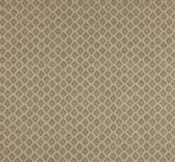 Delaney Taupe Fabric by Jane Churchill