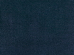 Bear Midnight by Kirkby Design