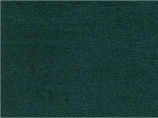 Gobi Evergreen by Kirkby Design
