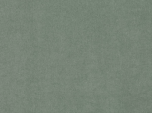 Kirkby Design Crush II Aloe Fabric