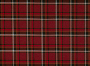 Kirkby Design Gamma Chili Fabric