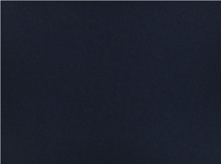 Leaf Midnight by Kirkby Design