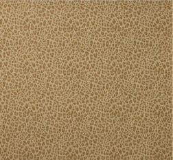 Chester Gold by Colefax and Fowler