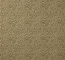 Chester Olive by Colefax and Fowler