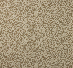 Chester Sand by Colefax and Fowler