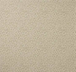 Chester Silver by Colefax and Fowler