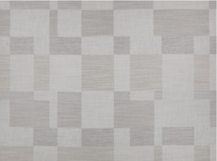 Blocks Silverbirch Fabric by Mark Alexander 