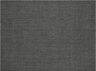 Canvas Typhoon Wallcovering by Mark Alexander