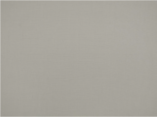 Flanders Silverbirch Fabric by Mark Alexander 