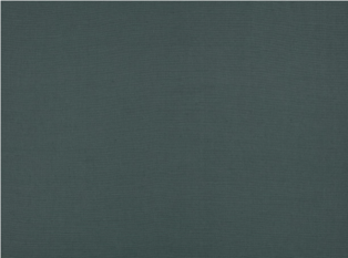Flanders Tempest Fabric by Mark Alexander 
