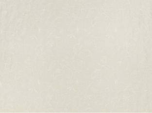 Indienne Vellum Fabric by Mark Alexander 