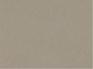 Jazz Bronze Fabric by Mark Alexander 