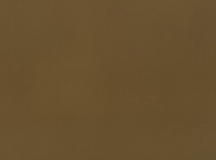 Lexington Desert Palm Fabric by Mark Alexander 