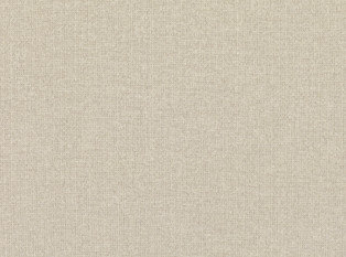 Andante Cement Fabric by Mark Alexander 