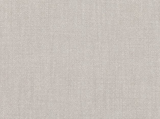 Array Silverbirch Fabric by Mark Alexander 
