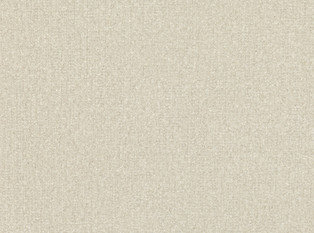 Coda Parchment Fabric by Mark Alexander 