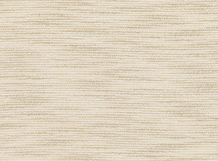 Duet Natural Fabric by Mark Alexander 