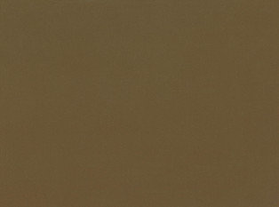 Epoque Desert Palm Fabric by Mark Alexander 