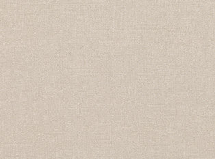 Loom Natural Fabric by Mark Alexander 