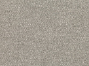 Sauvage Gunmetal Fabric by Mark Alexander 