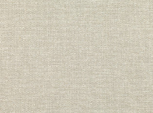Sashiko Fossil Fabric by Mark Alexander 