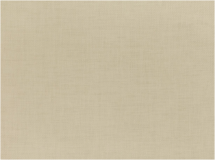 Papier Putty Wallcovering by Mark Alexander