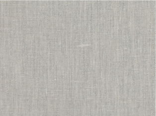 Reveal Silverbirch Fabric by Mark Alexander 