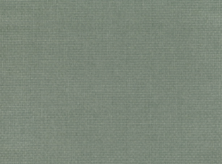 Shifu Atlantic Wallcovering by Mark Alexander