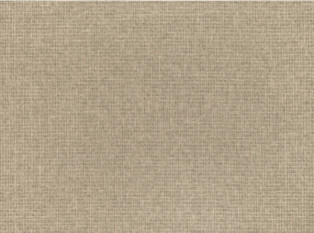 Shifu Bark Wallcovering by Mark Alexander