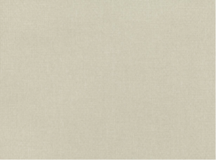 Shifu Latte Wallcovering by Mark Alexander