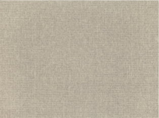 Shifu Stone Wallcovering by Mark Alexander