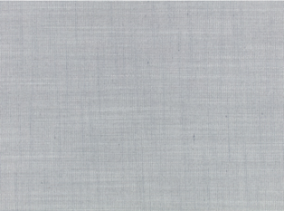 Veranda Canvas Dove Fabric by Mark Alexander 