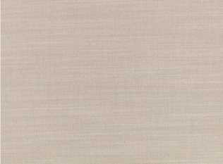 Veranda Canvas Sand Fabric by Mark Alexander 