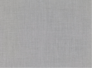 Veranda Silverbirch Fabric by Mark Alexander 