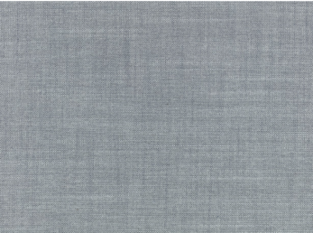 Veranda Soft Carbon Grey Fabric by Mark Alexander 